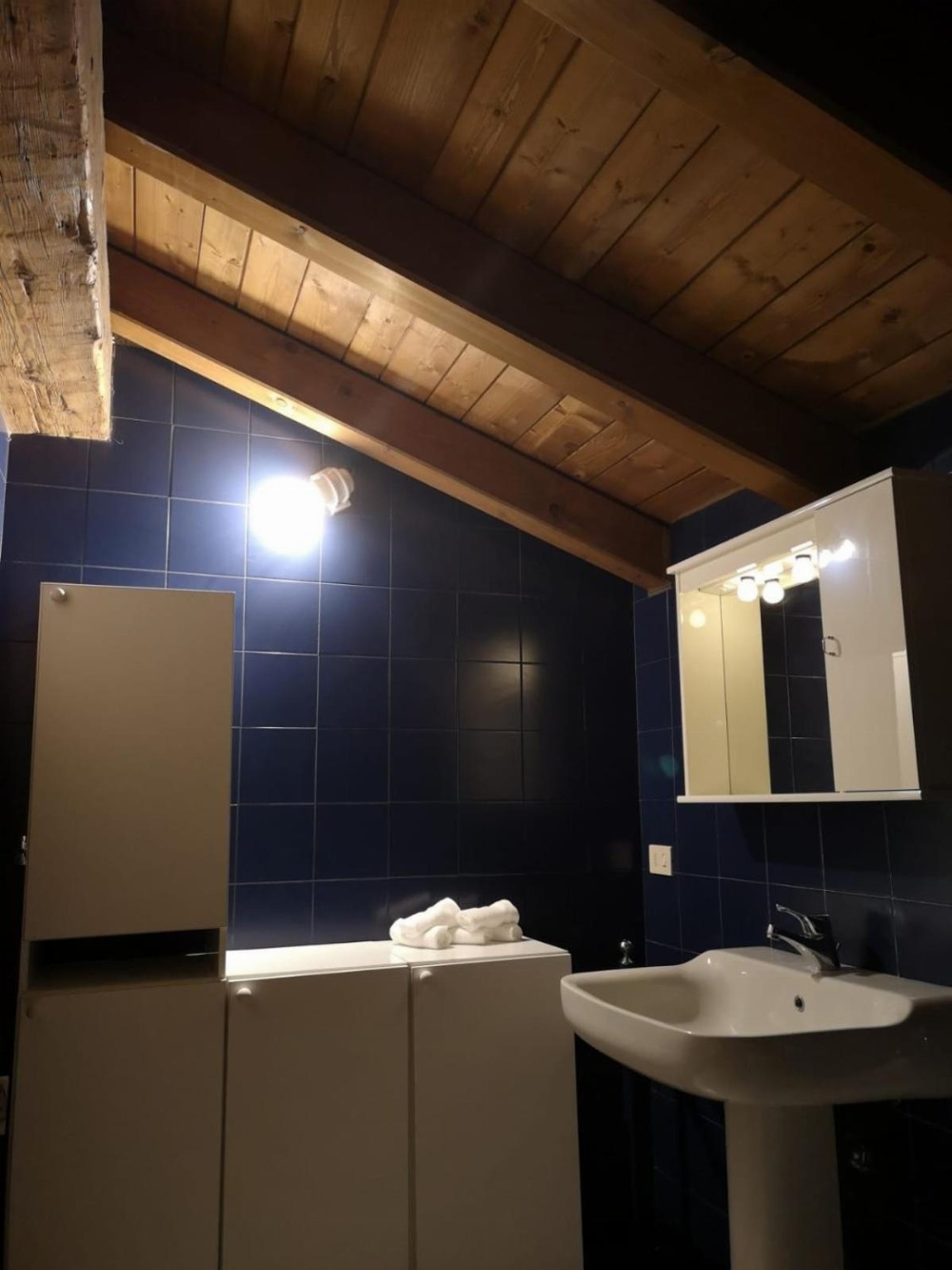 Farolfi Apartments Pepoli Main image